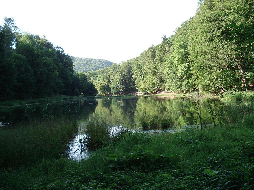 Seoski Turiziam Larva Trenkovo Kültér fotó